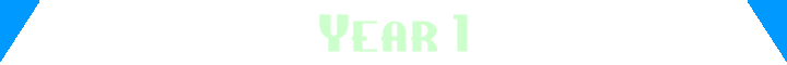 Year 1